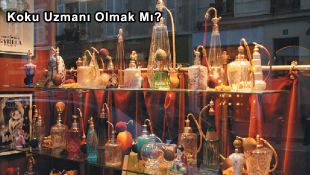 Koku Uzmanı Olmak Mı?